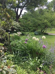 Donna and Sam Stout Garden 2016