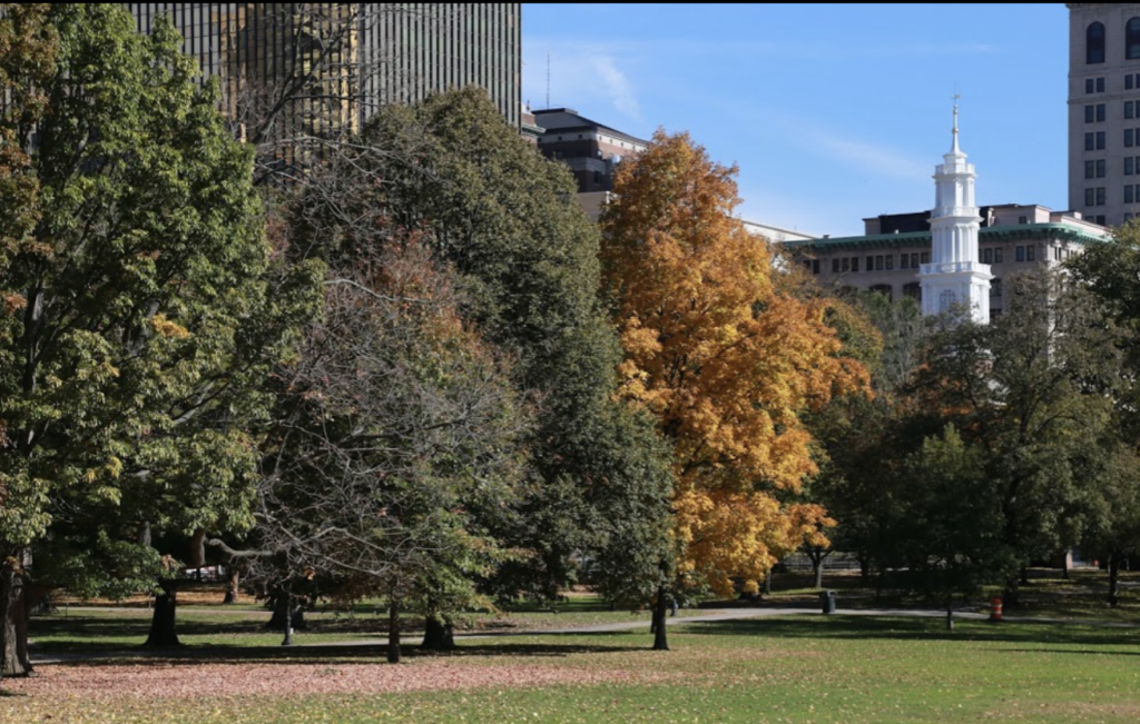 1975 — Tree Identification and Labeling at Bushnell Park